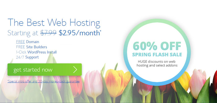 Bluehost Spring Sale
