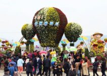 마산가고파국화축제 (11월 8일까지)