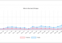 블로그 방문 횟수(Visits) 이상 급증